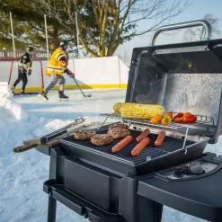 Broil King 950654 Porta-Chef 120 Portable Grill, 18-Inches, Propane -Barbecue Shop bk porta chef120 ls d 06 20