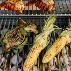 Coyote C-Series Stainless Steel Built-In Gas Grill, 28-Inch (C1C28) -Barbecue Shop c1c28 f 07 21