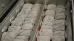 Twin Eagles TECT Charcoal Tray