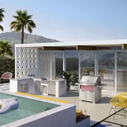 Aspire By Hestan ECD36 Double Door Grill Cart For 36-Inch Aspire Grill Head -Barbecue Shop ecd30 config ls b 02 22 4