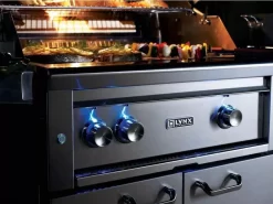 Lynx L30BI Built-In Professional Gas Grill, 30-Inch -Barbecue Shop halogen lights 2