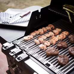 Saber R33CC1017 2-Burner Deluxe Freestanding Infrared Grill, Black, 20-Inches -Barbecue Shop r33cc1017 ls c 02 20