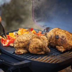 Napoleon TQ285-RD-1-A TravelQ Portable Tabletop Gas Grill, Propane -Barbecue Shop tq285 lifestyle b roll camping chicken with tongs 1